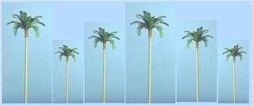 Palm Trees - Z Scale