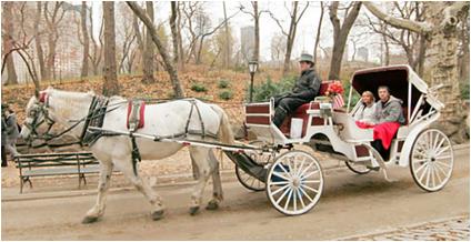 Central Park Carriage - Prototype Photo