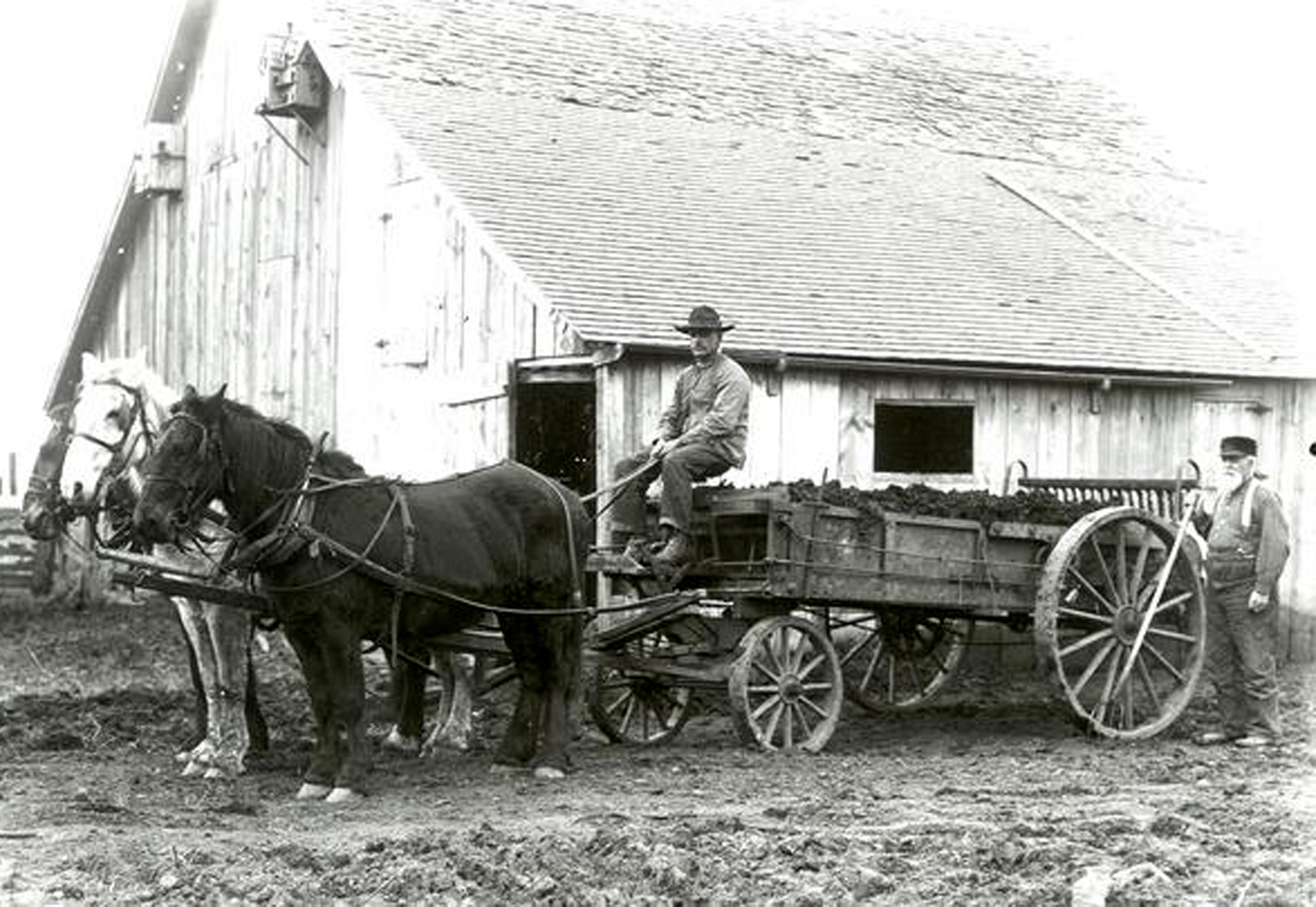 Horse with Farm Wagon (#96706) - Prototype Photo
