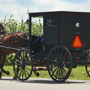 Horse with Amish Buggy (#96703) - Prototype Photo